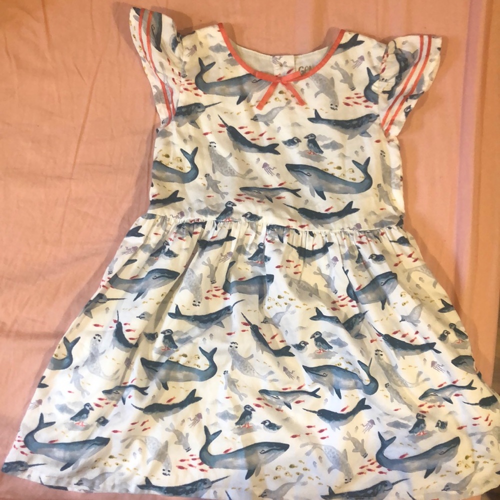 Toddler size 5T